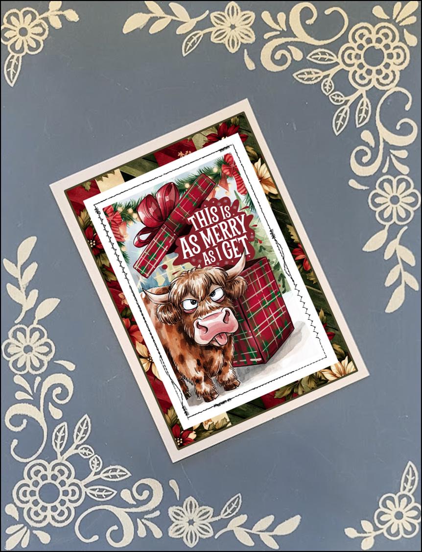 Christmas, Funny, Greeting Card Bundle, 5x7 with Envelopes