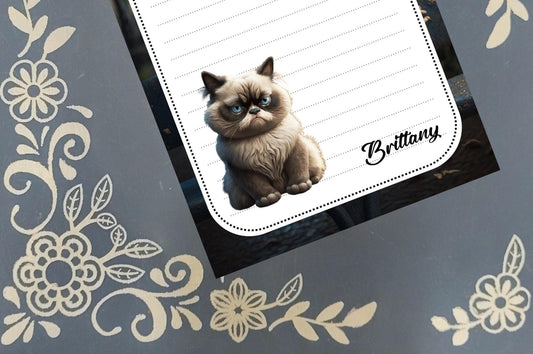 Personalized Grumpy Cat, Ragdoll Cat on Park Bench, Notepad Stationery