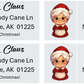 Custom Address Mailing Labels