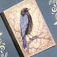 Raven 2, Covered Notebook