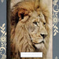 Lion, Covered Notebook