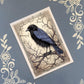 Ravens Greeting Card Bundle, Halloween, 5x7 with Envelopes